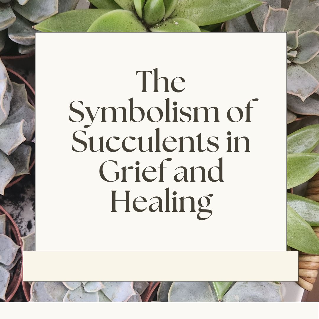 The Symbolism of Succulents in Grief and Healing